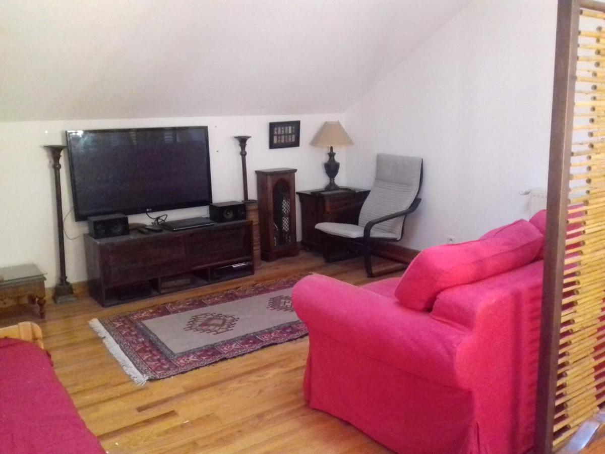 Appartement En Loft 50M2 Dans Maison Avec Chambre En Mezzanine Et Canapes Lits Dans Salon Saint-Pierre-de-Chartreuse Eksteriør billede